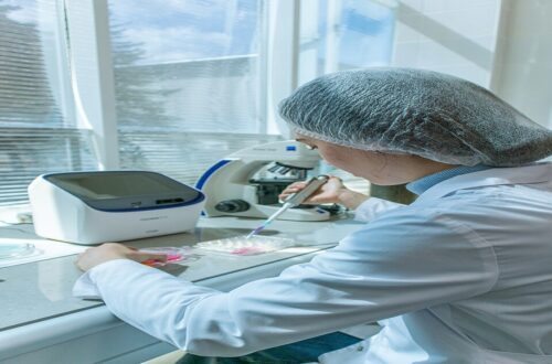 Biology and Bio-engineered Organisms